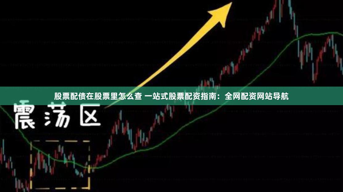 股票配债在股票里怎么查 一站式股票配资指南：全网配资网站导航