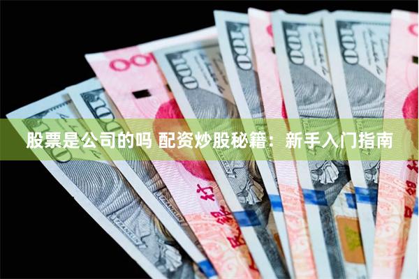 股票是公司的吗 配资炒股秘籍：新手入门指南